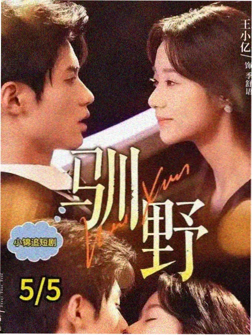 剧集 城南旧事簿 条目封面